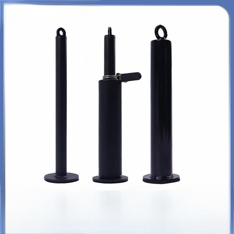 Weight Plate Loading Pin