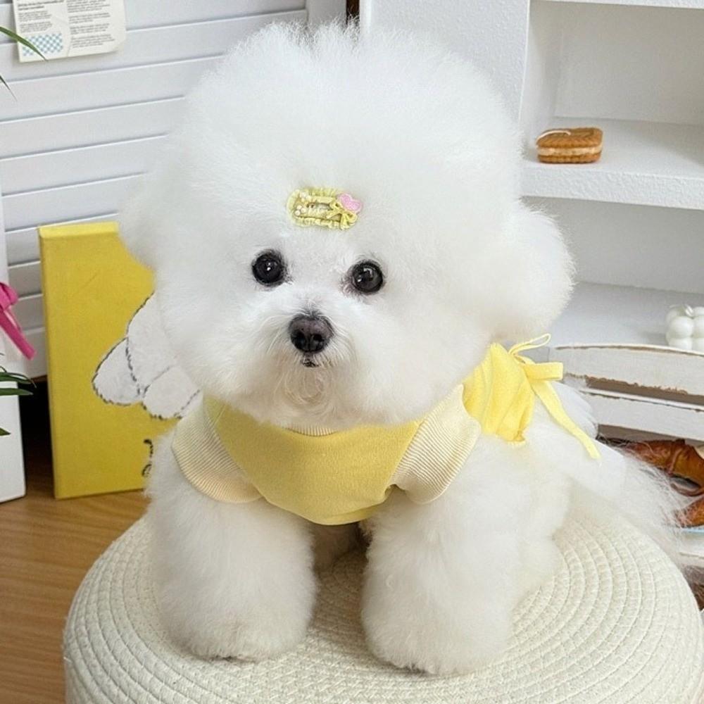 Pet Hoodie Dopamine Dog Pullover Hoodie Cartoon Print Breathable Pet Puppy Skirt Soft Warm Thick Dog Clothing Puppy Apparel