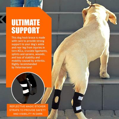 Supporto per articolazione del garretto della zampa posteriore canina, fascia compressiva, manica per gamba di cane per lesione ACL CCL, protezione da distorsioni, sollievo dall'artrite