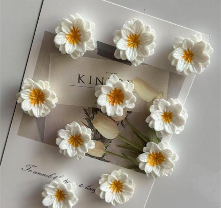 

3D Resin Flower Refrigerator Magnets Set of 10 Kitchen Decorative Magnets Small Daisy Design with Magnetic Backing for Fridge Locker White One Size білий