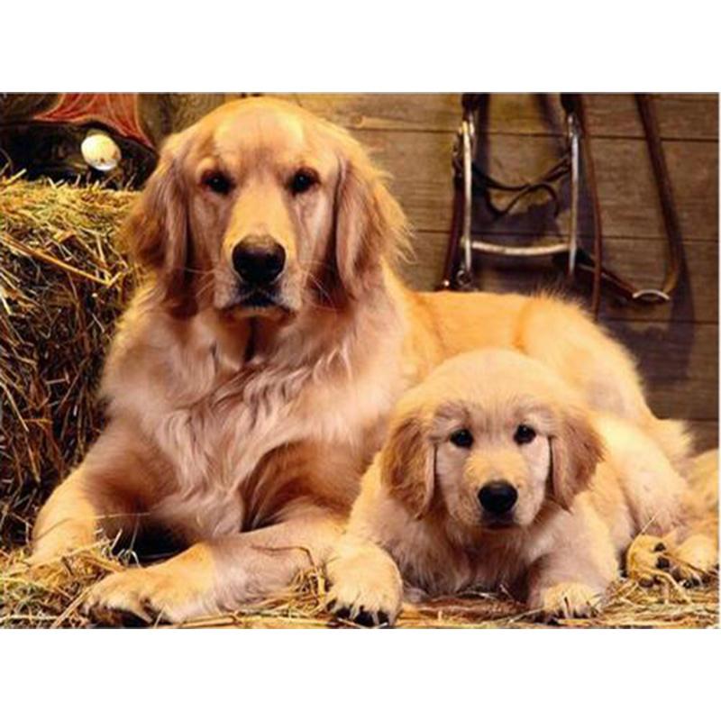 Dog DIY 5D Diamond Painting Dog Full Round Rhinestones Animal Diamond Embroidery Cross Stitch Kit Handmade Gift Home Decor