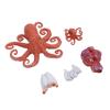 5Pcs Octopus Figurine Toy Educational Simulated Octopus Life Cycle Learning Toy Sea Animals Figurine
