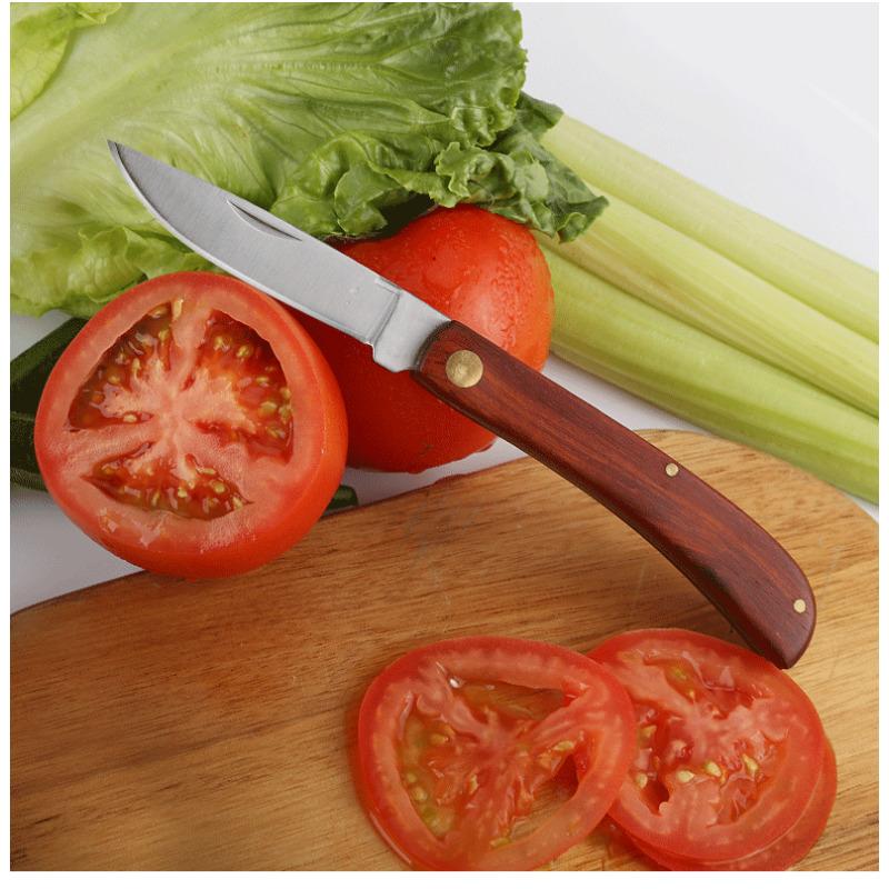 Stainless Steel Fruit Knife Portable Folding Knife with Wooden Handle Household Fruit Folding Peeler Kitchen Tool Mini