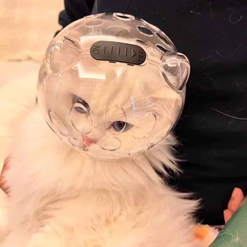 Tragbarer transparenter Anti-Biss- und Kratz-Katzenkopfschutz für den Außenbereich, hohles Design, atmungsaktiv und wärmeableitend, Katzenhelm, vielseitiges Haustierzubehör