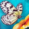 Diy 5D Diamond Painting Butterfly Flower Diamond Embroidery Cross Stitch Kit Mosaic Picture Home Decoration New Year Gift
