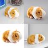 Lifelike Orange Guinea Pig Plush Toy For Children's Collection Gifts