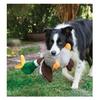 Honkers Duck Dog Toy