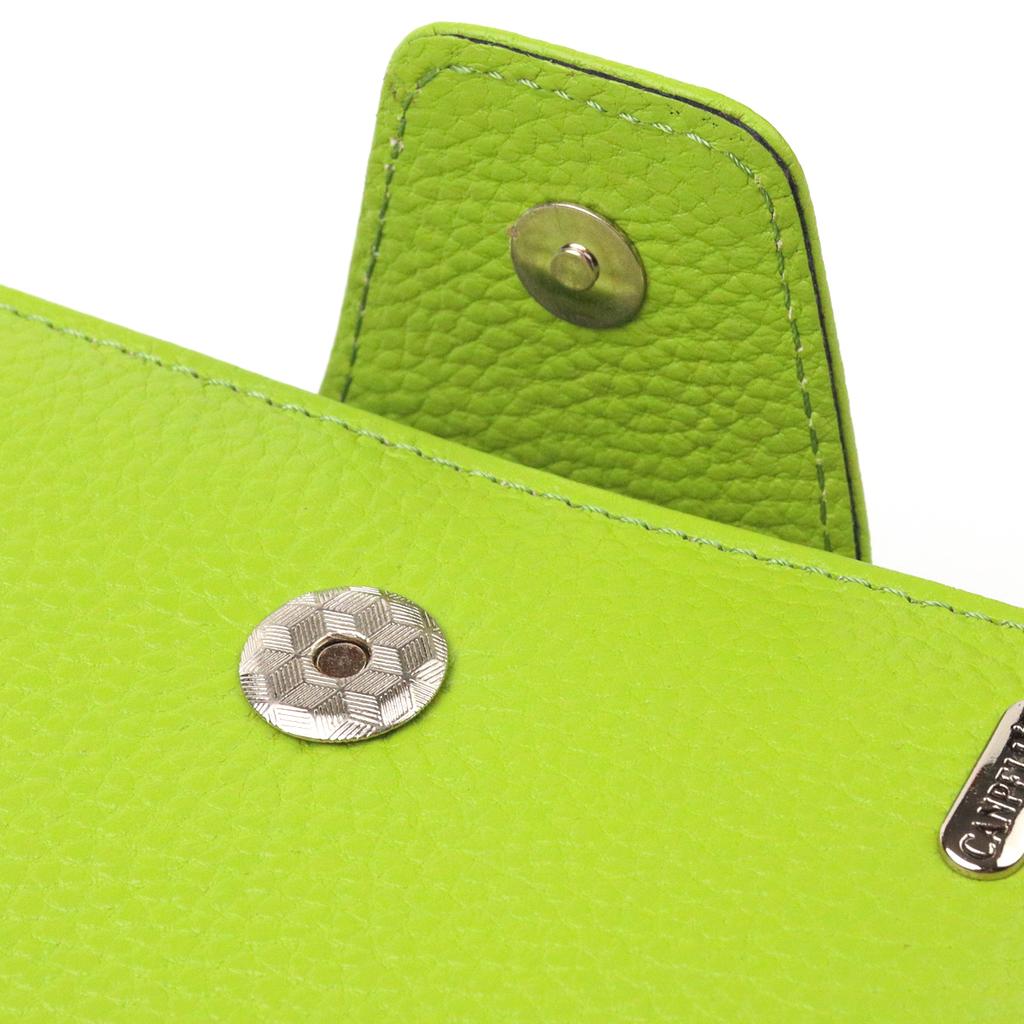 Vertical Bright Women's Purse with a Coin Holder with a Zipper Made of Genuine Leather Flotar CANPELLINI Wallet 21603 Light Green