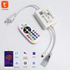 Tuya Smart WiFi RGB LED Light Strip Controller (110V/220V)