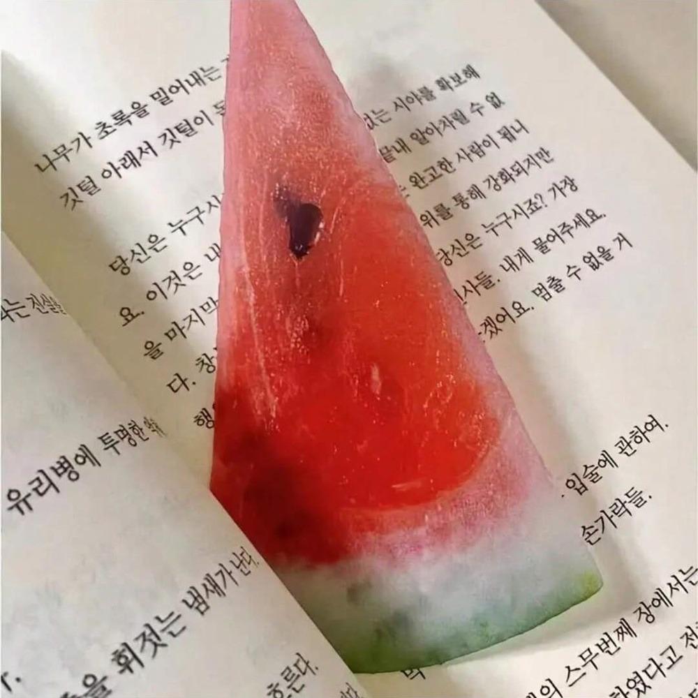 Apple Slice Reading Bookmark Acrylic Note Bookmark New Pages Guide Marker  Birthday Gift