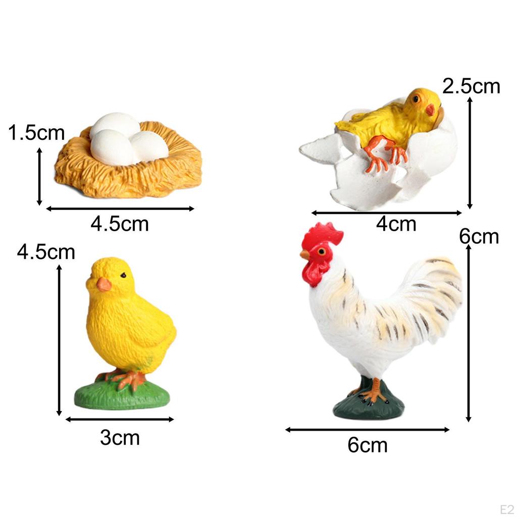 Chicken Growth Cycle Set,Teaching Aids Classroom,Learning,Early Education,Animals Figurine