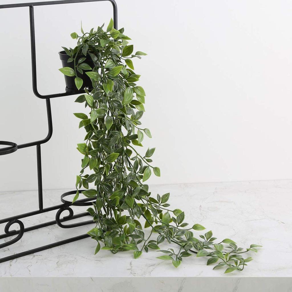 Home Artificial Vine;Pine;Fern;Ivy Plants with Pot Natural Look & Plastic Material  with Small Size Pot Size 27 X 75 X 7 Cm, Pack of 1 (Green)