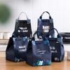 Cute Lunch Box Thermal Bags Portable Insulated Cooler Food Carrier Large Capacity Handbags for Women Picnic Bento Bag Container