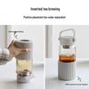Buydeem Portable Tea Infuser Glass Bottle