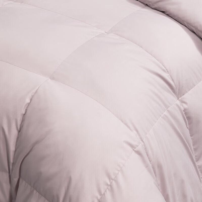 Mercury Home Textiles DH Zhuoyao Goose Down Quilt