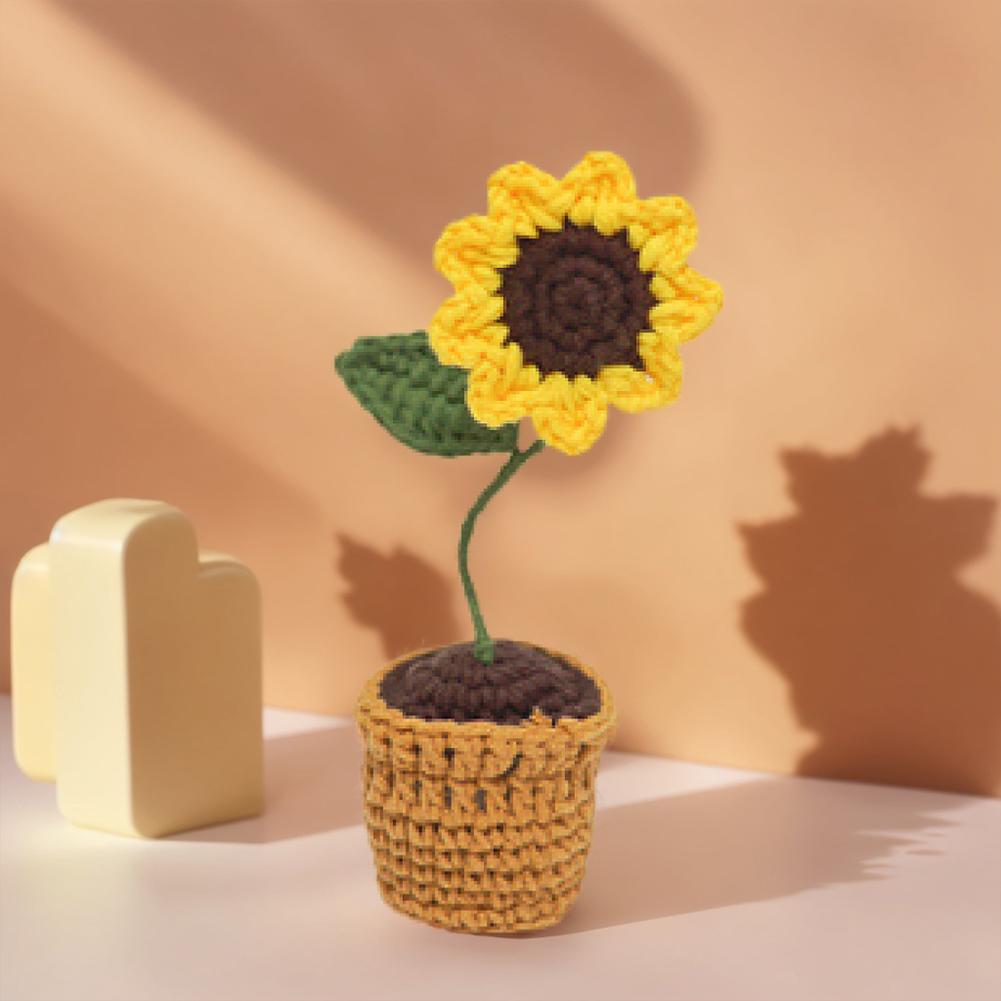 4Pcs Potted Plants Crochet Starter Kit DIY Knitting Crocheting Kit with Step-by-Step Video Tutorials for Beginners Adults