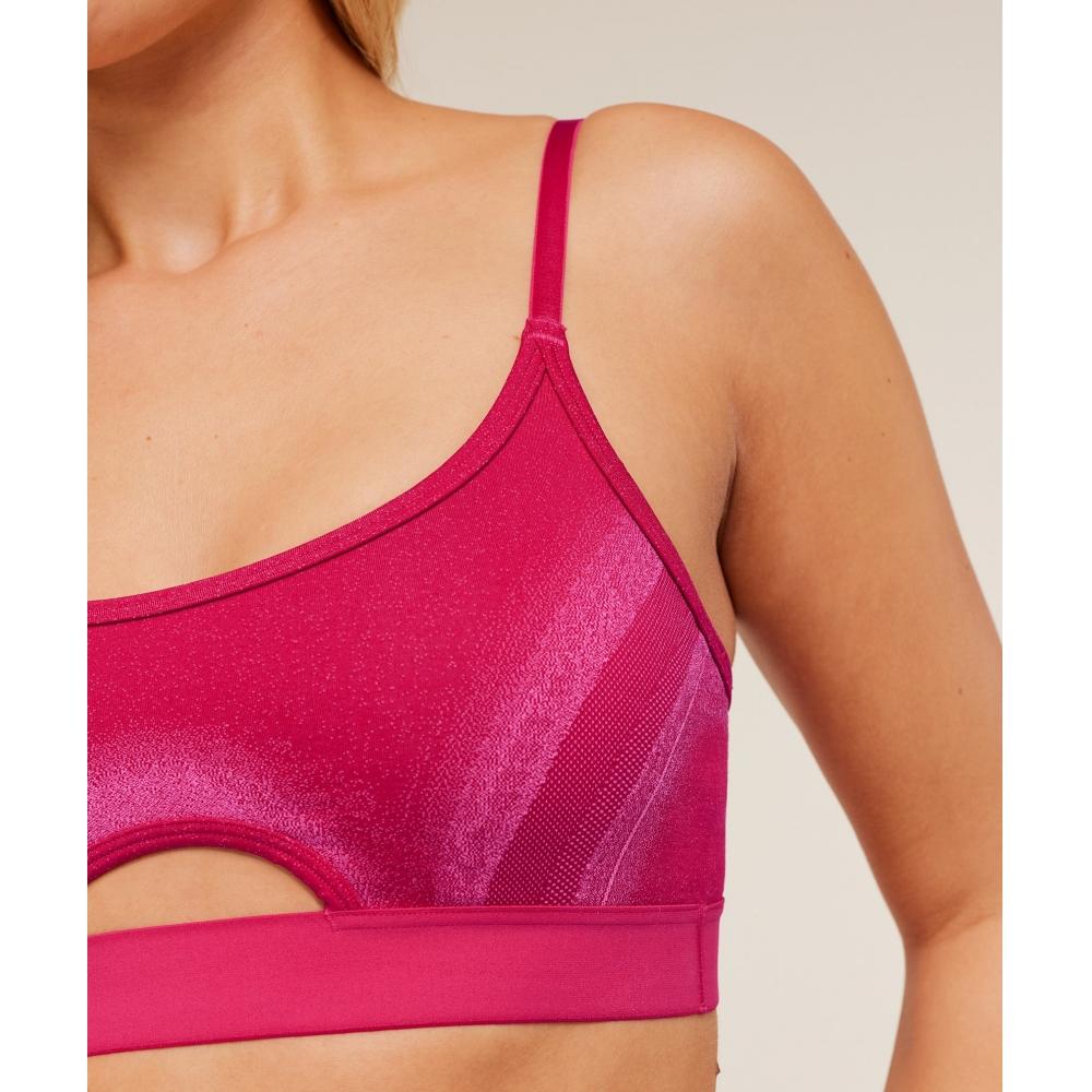 Gymshark Charge Seamless Sports Bra Gs Build Pink Gs Fetch Pink B4c1x Kddf