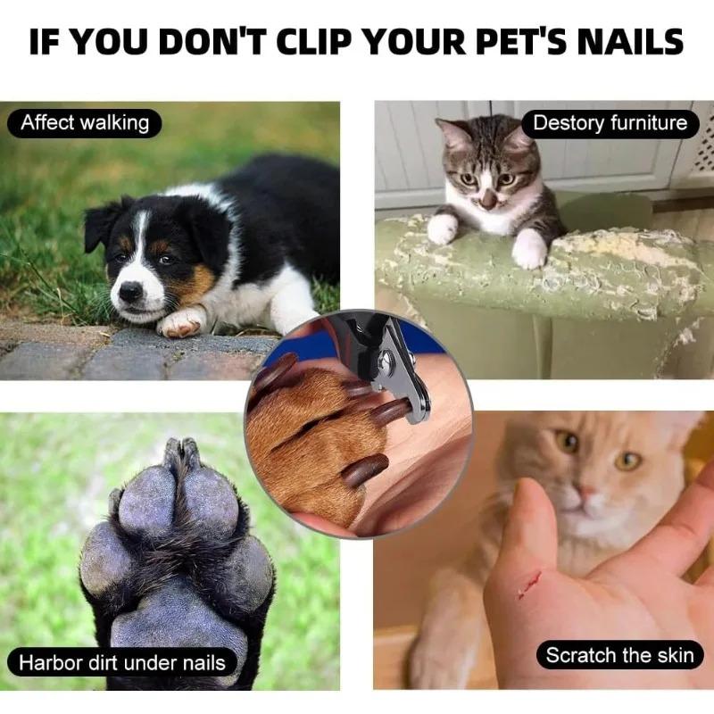 Professional Pet Nail Clipper & Trimmers Dog Nail Clippers with Safety Guard Pet Dog and Cat Nail Clippers Cat Nail Sharpener