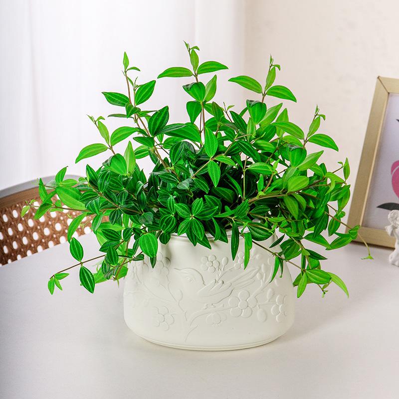 Mini Self Watering Flower Pot Fish Tank Transparent Plastic Plant Pots Self Watering Planter Pot Vase For Home Decoration