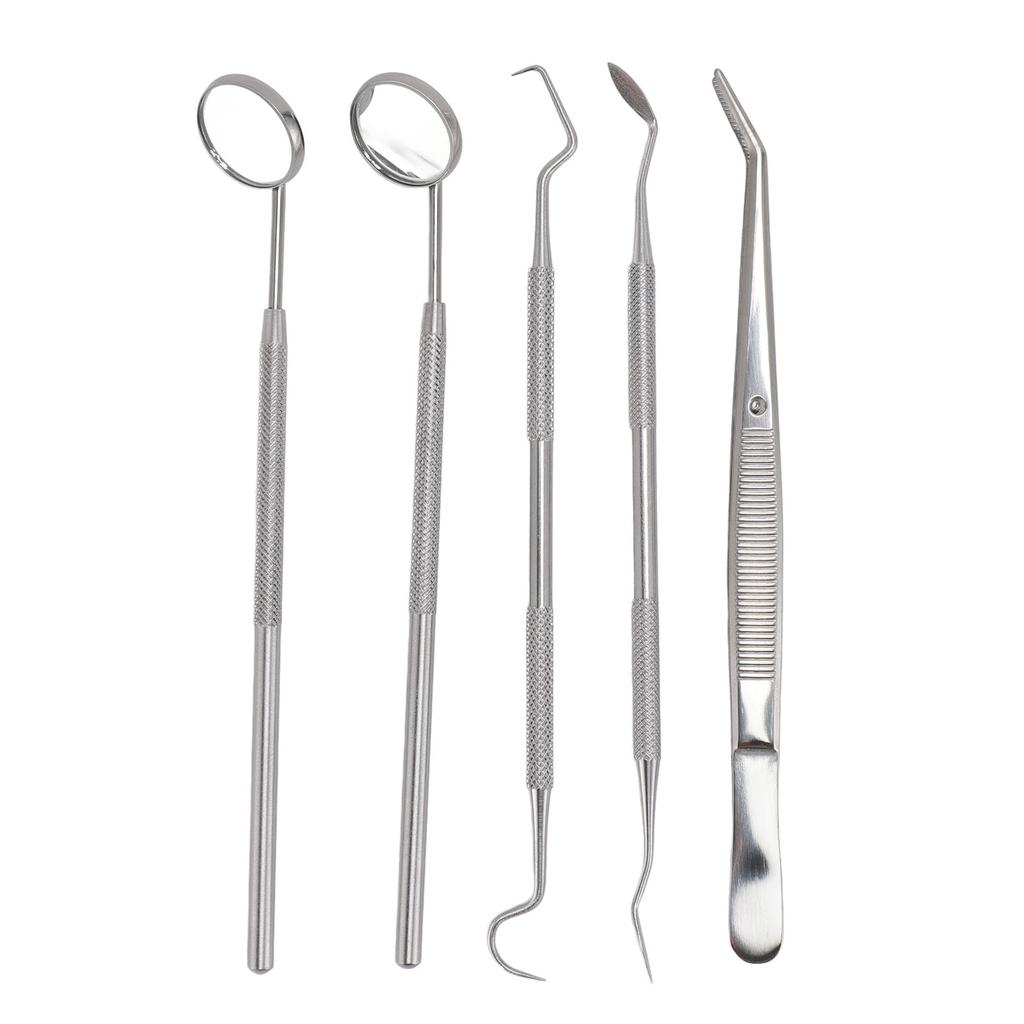 5pcs Professional Oral Health Care Pick Tools Stainless Steel Teeth Cleansing Calculus Remover Tool for Dentist