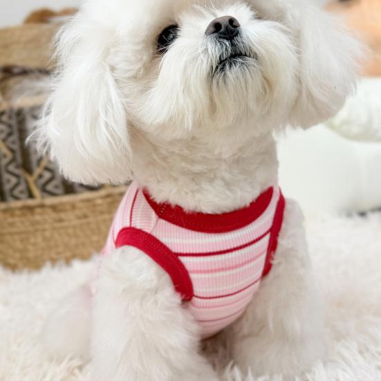 Cotton Ribbed Knit Dog Vest for Small Breeds Summer Sleeveless Striped Puppy Shirt Soft Breathable Pet Outfits