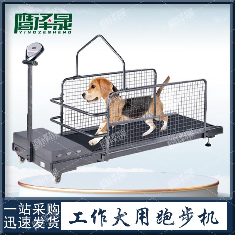 Беговая дорожка для дрессировки собак Yingzesheng C300W