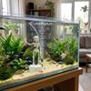 with Suction Base Dancing Skeleton Aquarium Bubbler Wiggling Skeleton Ornament  Aquatic Landscaping