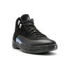 Jordan 12 Retro Nubuck 2009 130690-018