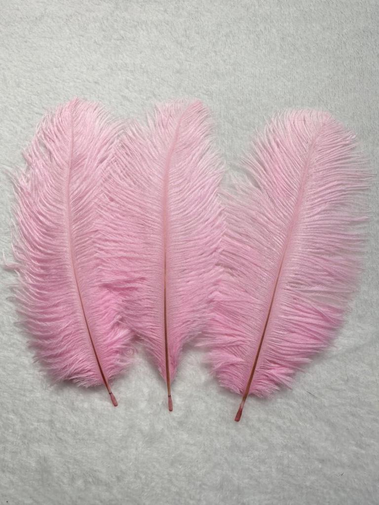 50pcs/lot  Black Ostrich Feathers 6-14 Inch 15-40cm for Wedding Decor Craft  Handicraft Accessories Table Centerpieces Carnival