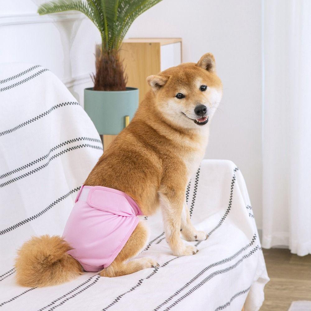 Washable Dog Physiological Pants Anti-harassment Pet Menstruation Shorts  Female Dog