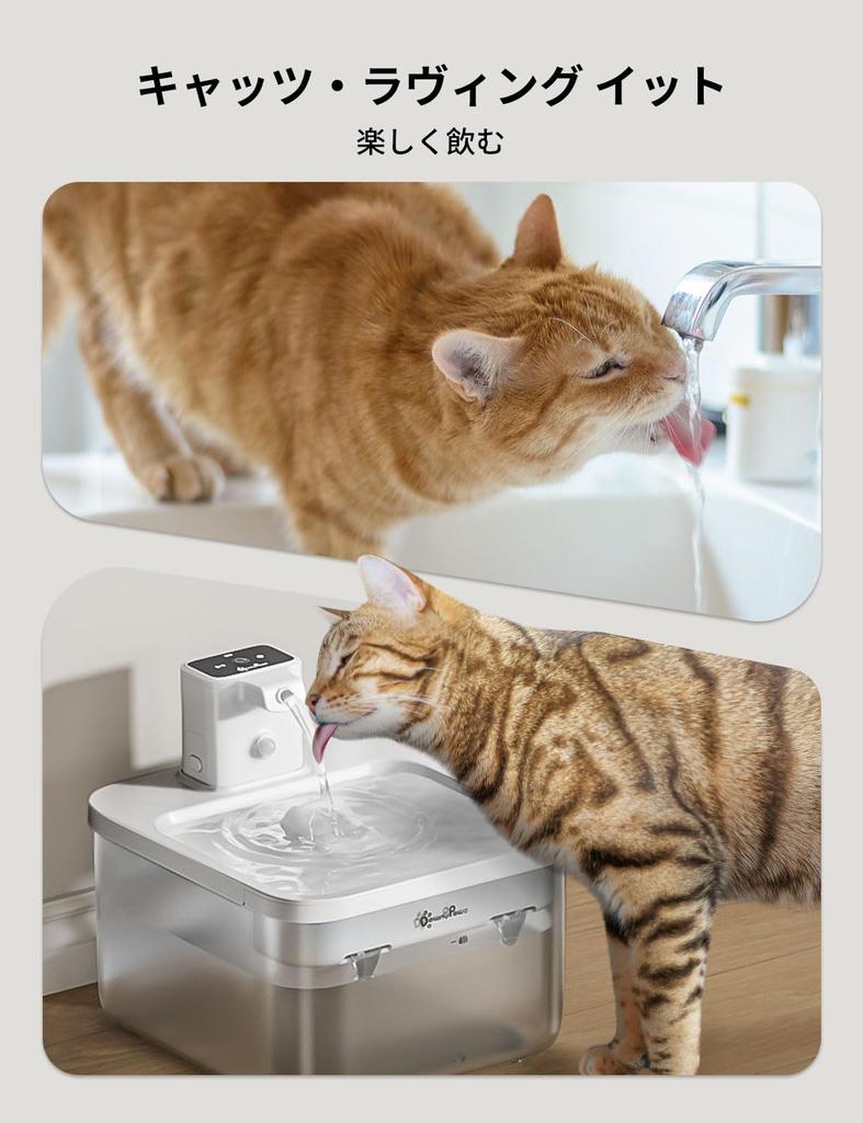DownyPaws Cordless Cat Water Automatic Cat and Dog Water Smart Pet Water Dispenser with Motion Quiet Easy Assembly and White Dispenser, 2.5L,