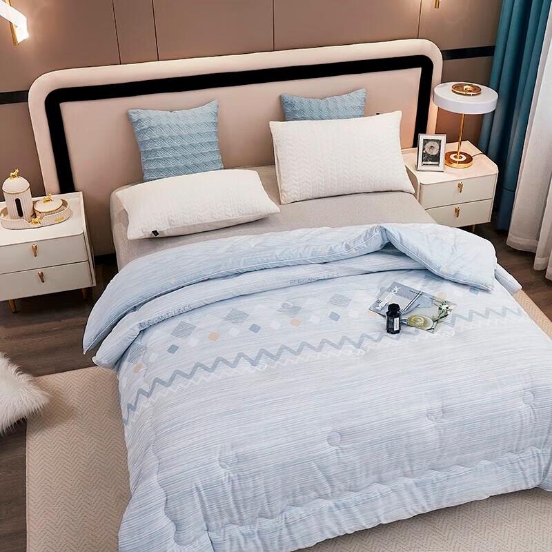 Tangna Home Textiles GeDiao Cationic Silk Blend Winter Quilt