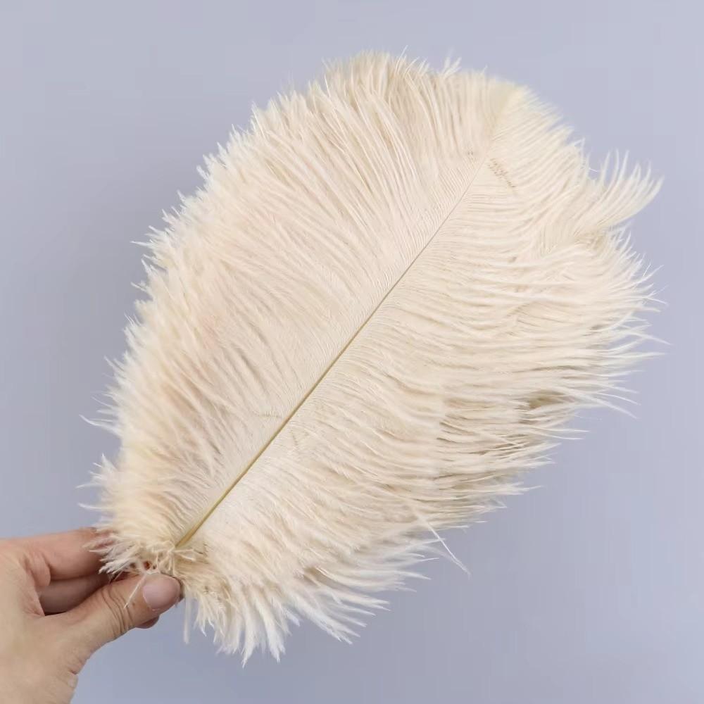 10Pcs Stage Props Ostrich Feathers 15-20cm Colored Ostrich Feathers  Home Decoration