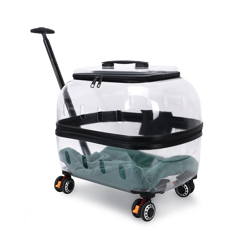 Transparent Pet Suitcase for Traveling Large