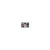 Fujifilm Instax Mini 40 Contact Sheet Instant Film (3-pack, 30 exposures) Bundle (3 sheets)
