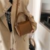 Spring women's bag niche high-end handbag 2025 new simple vegetable basket bag versatile shoulder messenger bag