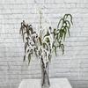 Artificial Mirb Salicaceae With Soft Plastic Leaves For Decoration Indoor