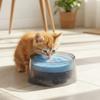 Ciotola Acqua Galleggiante Anti-Ribaltamento Cane Rimovibile Antiscivolo Ciotola Lenta per Animali Domestici Plastica Anti-Bagnatura Bocca Ciotola per Bere Animali Domestici Alimentazione Animali Domestici