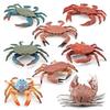 Realistic Plastic Crab Model Collection Vibrant Colors For Home Decor Educational Display
