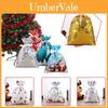10 Christmas Large Gift Bag With Ribbon Candy Cookie Sack Packing Wrapping Xmas