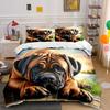 Big Dog Under Warm Sunset Pattern Duvet Cover Set Digital Print Colorful Polyester Bedding with Zipper Closur for Kids Gifts