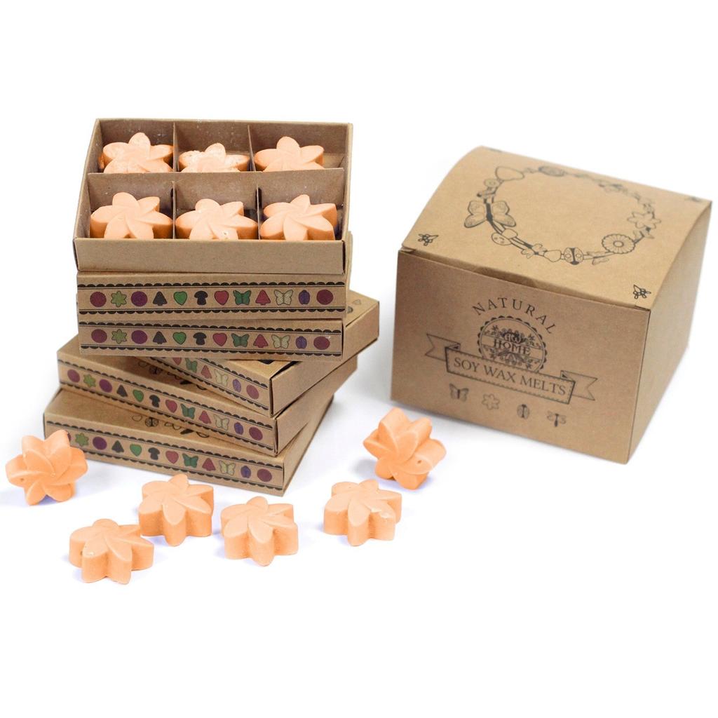 Mango Wax Melts Box
