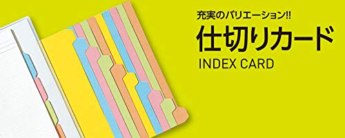 KOKUYO File Index Color Divider Cards, 6-section, 2-hole, A3 Landscape, 10 Pairs, Shiki-113