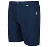 Regatta Highton Mid Shorts
