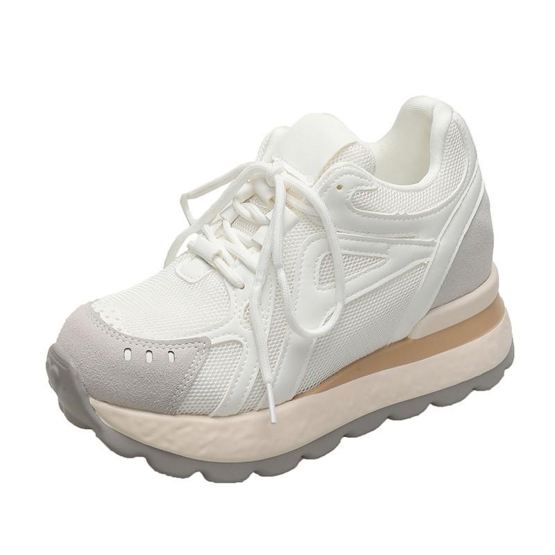 Small 8CM Inner Height-increasing Women's Shoes~ 2025 Autumn Retro Mesh Platform Casual Sports Shoes Forrest Gump Training Shoes