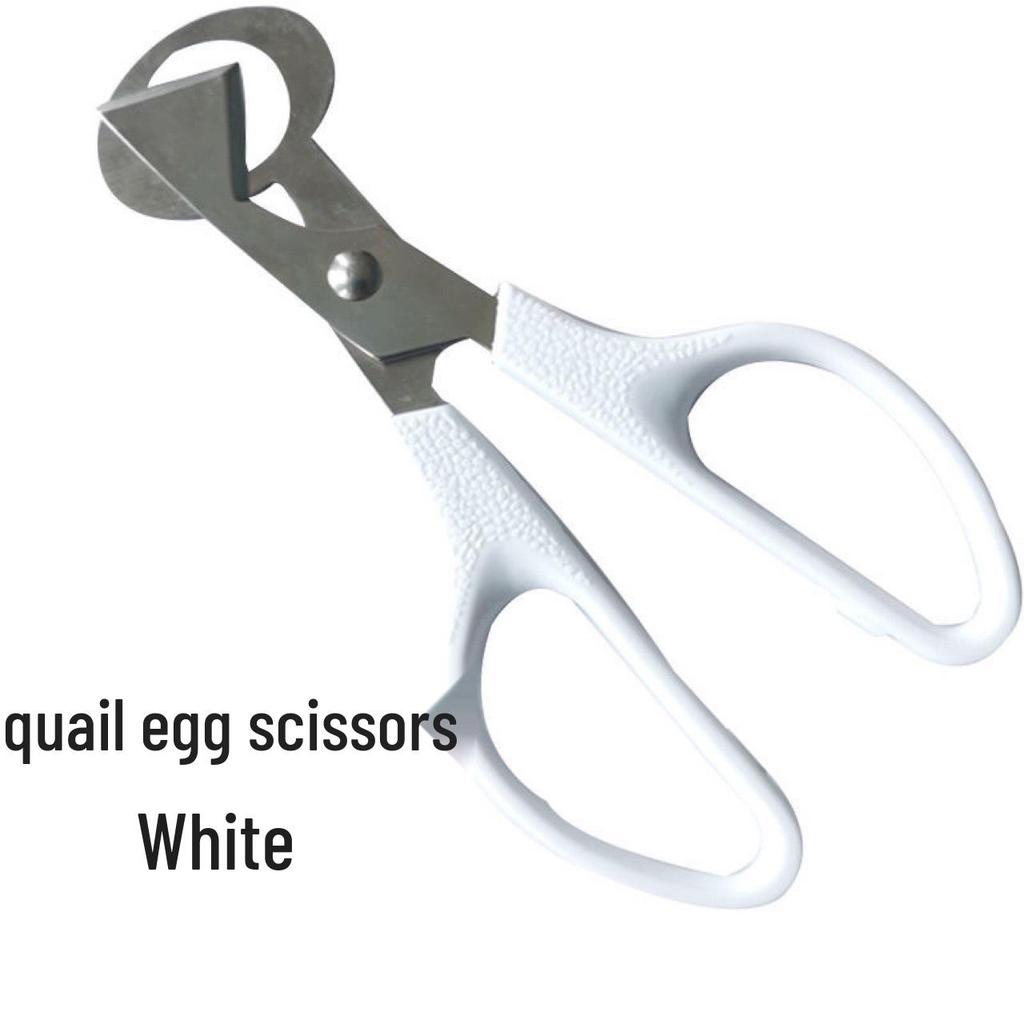 Stainless Steel Quail Egg Cutter and Slicer - Minimalist Design