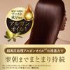 LUCIDO -L Oil Treatment EX Hair Mask with Argan Oil 220g + 10g Sample, Rinse-out
