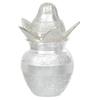 Webelkart Premium Plated Pooja Kalash with Coconut for Pooja Decor with Red Velvet Box/Swastik Kalash