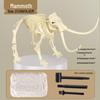 DIY Dinosaur Fossil & Gem Dig Kit: Children's Archaeological Treasure Hunt with Mermaid Theme