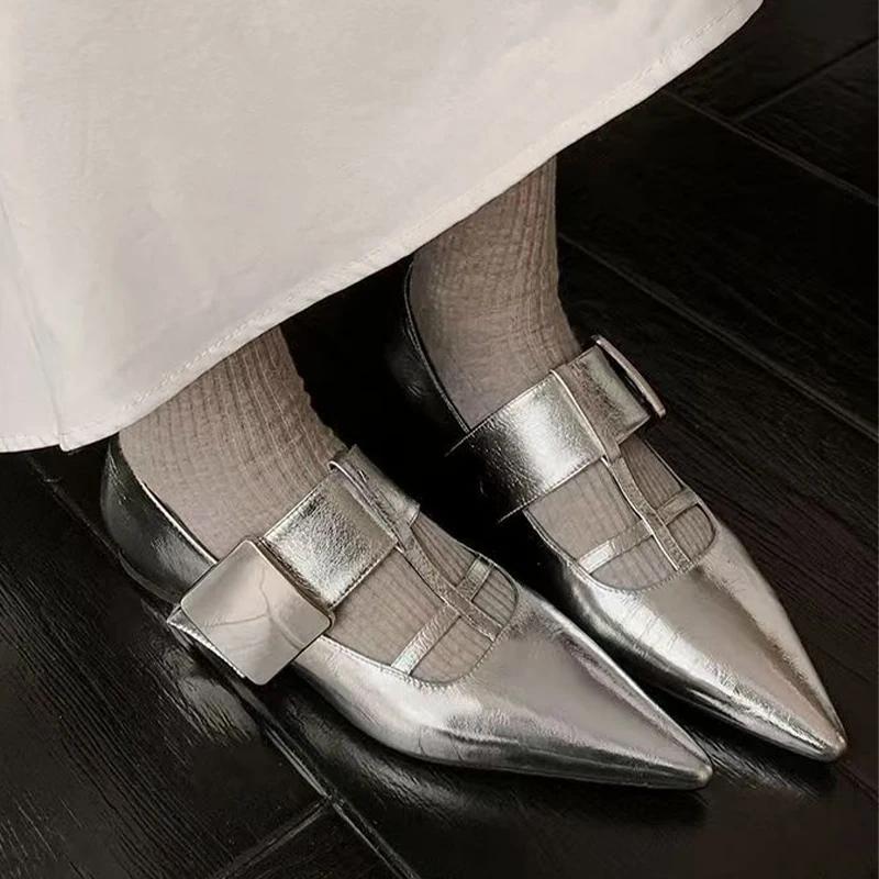 Fashion Pointed Toe Women Elegant Shoes Flats Sexy Dress Sandals Woman Summer 2025 Designer New Shoes Luxury Fashion Zapatos Be Mujer